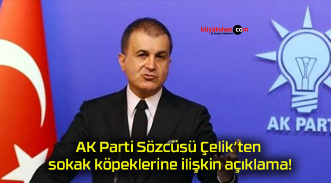 AK Parti Sözcüsü Çelik’ten sokak köpeklerine ilişkin açıklama!