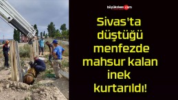 Sivas’ta düştüğü menfezde mahsur kalan inek kurtarıldı!