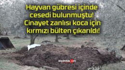 Hayvan gübresi içinde cesedi bulunmuştu! Cinayet zanlısı koca için kırmızı bülten çıkarıldı!