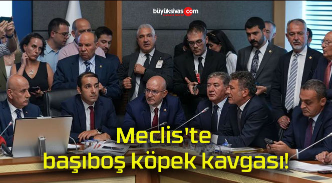 Meclis’te başıboş köpek kavgası!