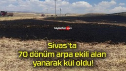 Sivas’ta 70 dönüm arpa ekili alan yanarak kül oldu!