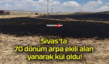 Sivas’ta 70 dönüm arpa ekili alan yanarak kül oldu!