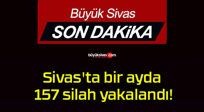Sivas’ta bir ayda 157 silah yakalandı!