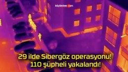 29 ilde Sibergöz operasyonu! 110 şüpheli yakalandı!