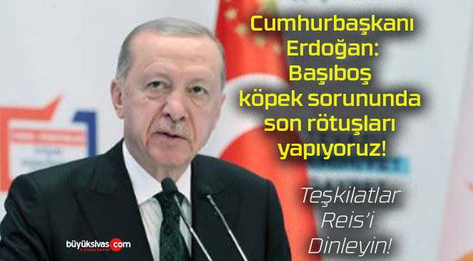 Cumhurbaşkanı Erdoğan: Başıboş köpek sorununda son rötuşları yapıyoruz!