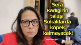 Sera Kadıgil’in telaşı! Sokaklarda köpek kalmayacak!