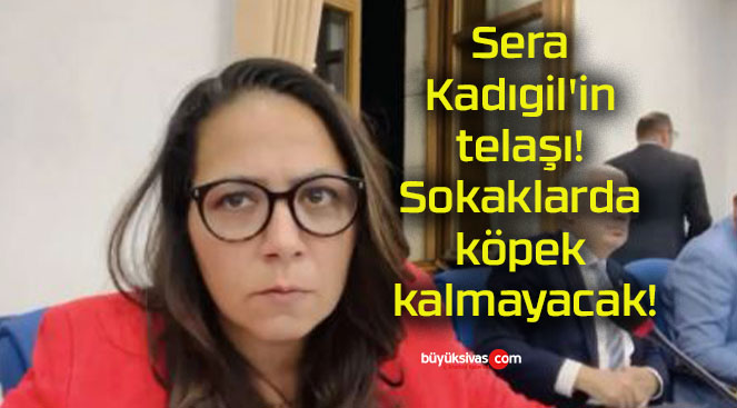 Sera Kadıgil’in telaşı! Sokaklarda köpek kalmayacak!