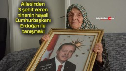 Ailesinden 3 şehit veren ninenin hayali Cumhurbaşkanı Erdoğan ile tanışmak!