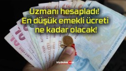 Uzmanı hesapladı! En düşük emekli ücreti ne kadar olacak!