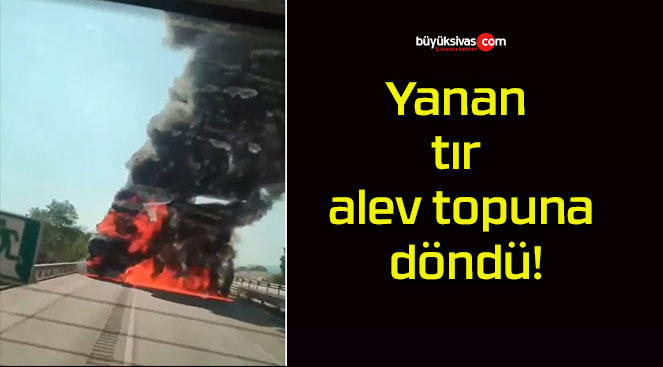 Yanan tır alev topuna döndü!