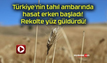 Türkiye’nin tahıl ambarında hasat erken başladı! Rekolte yüz güldürdü!