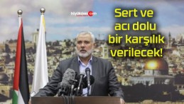 Sert ve acı dolu bir karşılık verilecek!