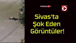 Sivas’ta Şok Eden Görüntüler!