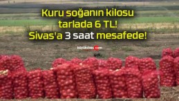 Kuru soğanın kilosu tarlada 6 TL! Sivas’a 3 saat mesafede!