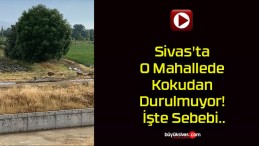 Sivas’ta O Mahallede Kokudan Durulmuyor! İşte Sebebi..