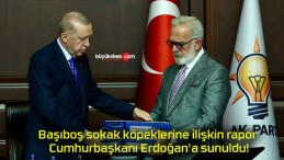 Başıboş sokak köpeklerine ilişkin rapor Cumhurbaşkanı Erdoğan’a sunuldu!