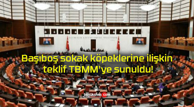 Başıboş sokak köpeklerine ilişkin teklif TBMM’ye sunuldu!