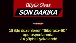 13 ilde düzenlenen “Sibergöz-50” operasyonlarında 24 şüpheli yakalandı!