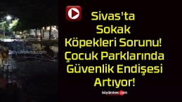 Sivas’ta Sokak Köpekleri Sorunu! Çocuk Parklarında Güvenlik Endişesi Artıyor!
