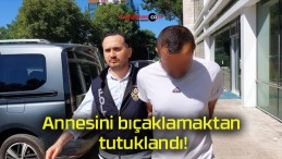 Annesini bıçaklamaktan tutuklandı!