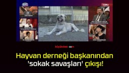 Hayvan derneği başkanından ‘sokak savaşları’ çıkışı!