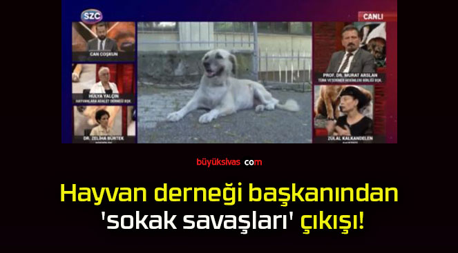 Hayvan derneği başkanından ‘sokak savaşları’ çıkışı!