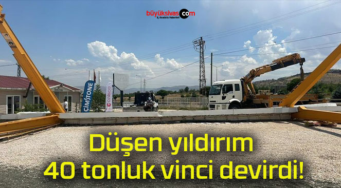 vincis