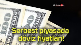 Serbest piyasada döviz fiyatları!