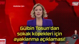 Gülbin Tosun’dan sokak köpekleri için ayaklanma açıklaması!