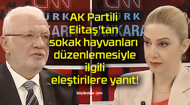 AK Partili Elitaş’tan sokak hayvanları düzenlemesiyle ilgili eleştirilere yanıt!