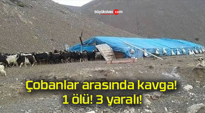 Çobanlar arasında kavga! 1 ölü! 3 yaralı!