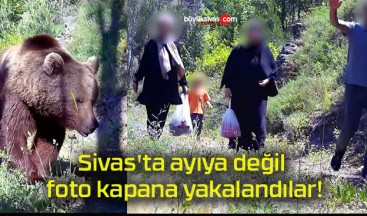 Sivas’ta ayıya değil foto kapana yakalandılar!