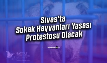Sivas’ta Sokak Hayvanları Yasası Protestosu Olacak