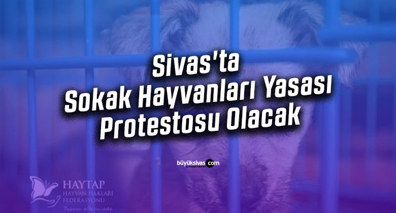 Sivas’ta Sokak Hayvanları Yasası Protestosu Olacak