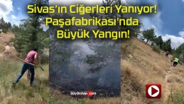 Sivas’ın Ciğerleri Yanıyor! Paşafabrikası’nda Büyük Yangın!