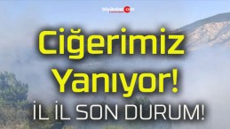 Türkiye’nin ciğerleri yanıyor!