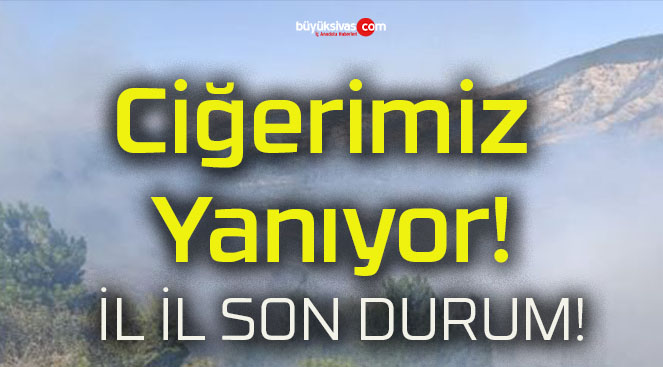 Türkiye’nin ciğerleri yanıyor!