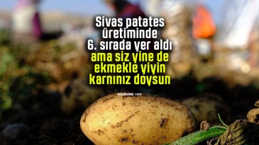 Sivas patates üretiminde 6. sırada yer aldı ama siz yine de ekmekle yiyin