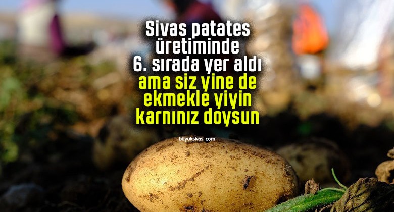 Sivas patates üretiminde 6. sırada yer aldı ama siz yine de ekmekle yiyin