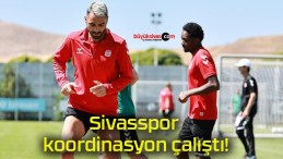 Sivasspor koordinasyon çalıştı!