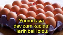 Yumurtaya dev zam kapıda! Tarih belli oldu!