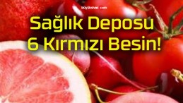 Sağlık Deposu 6 Kırmızı Besin!