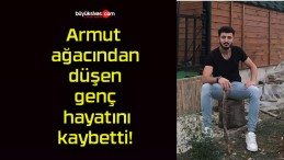 Armut ağacından düşen genç hayatını kaybetti!