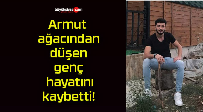 Armut ağacından düşen genç hayatını kaybetti!