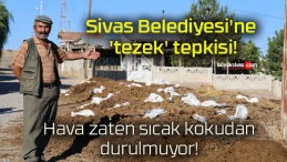 Sivas Belediyesi’ne ‘tezek’ tepkisi!