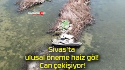 Sivas’ta ulusal öneme haiz göl! Can çekişiyor!