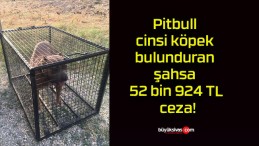 Pitbull cinsi köpek bulunduran şahsa 52 bin 924 TL ceza!