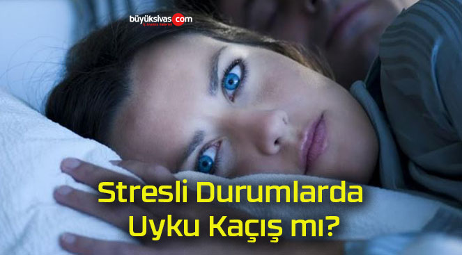 Stresli Durumlarda Uyku Kaçış mı?