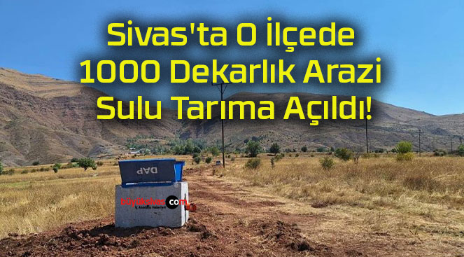 Sivas’ta O İlçede 1000 Dekarlık Arazi Sulu Tarıma Açıldı!