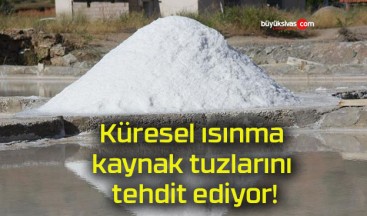 Küresel ısınma kaynak tuzlarını tehdit ediyor!